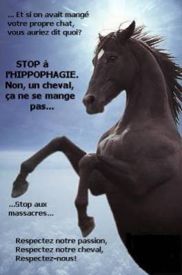 bon ok je vous embete avec sa met nn a l'hippophagie!!!