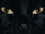LES YEUX